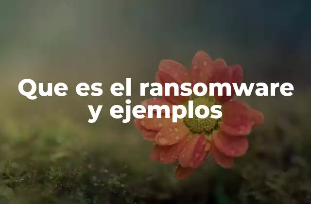 Que es el Ransomware y Ejemplos