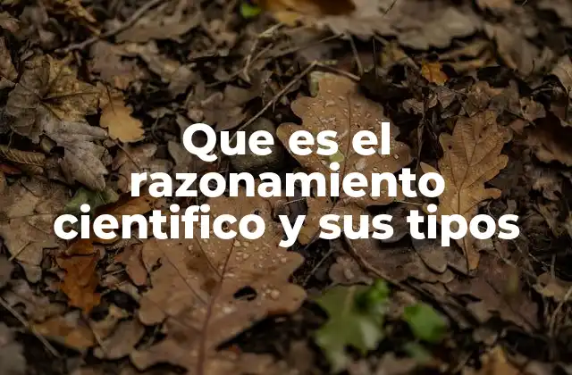 Que es el Razonamiento Cientifico y Sus Tipos 2 La lógica detrás del pensamiento científico