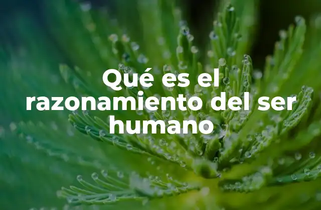Qué es el Razonamiento Del Ser Humano 2 El razonamiento como herramienta para comprender la realidad