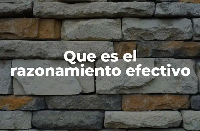 Que es el Razonamiento Efectivo