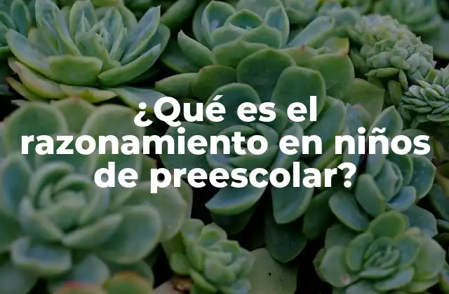 ¿qué es el Razonamiento en Niños de Preescolar?