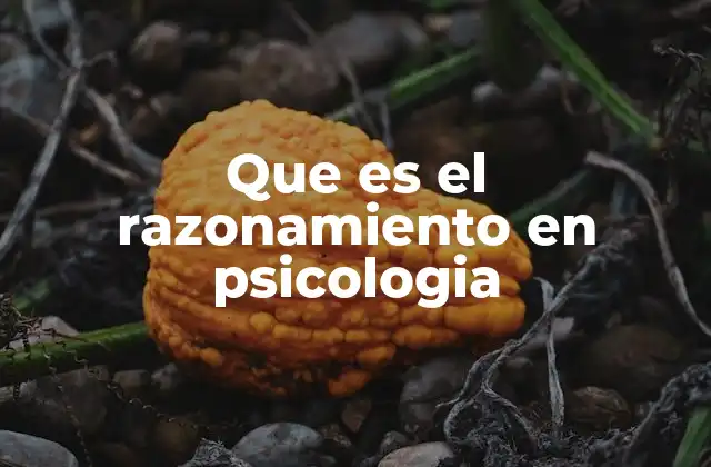 Que es el Razonamiento en Psicologia
