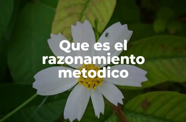 Que es el Razonamiento Metodico
