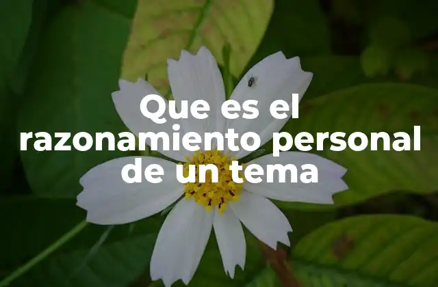 Que es el Razonamiento Personal de un Tema