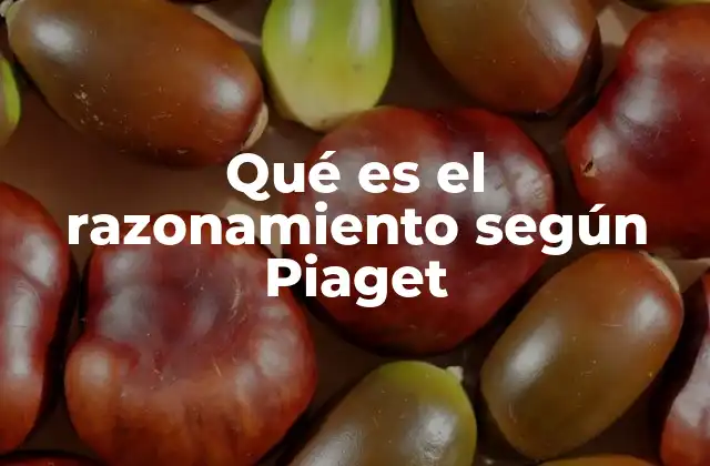 Qué es el Razonamiento según Piaget