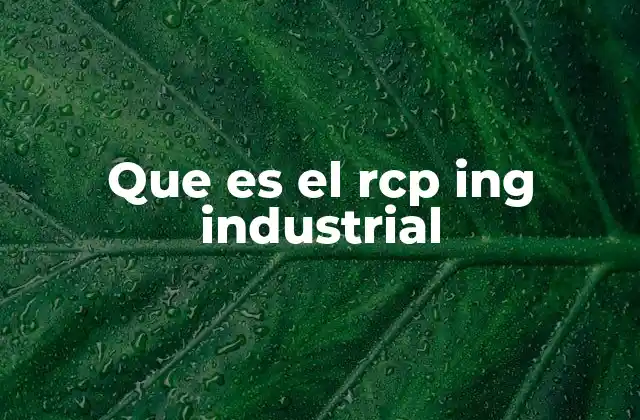 Que es el Rcp Ing Industrial