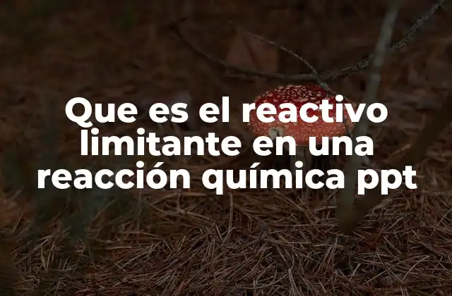 Que es el Reactivo Limitante en una Reacción Química Ppt