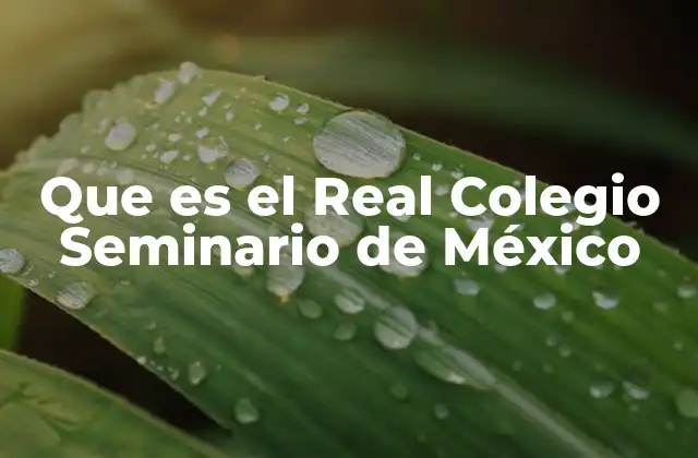 Que es el Real Colegio Seminario de México