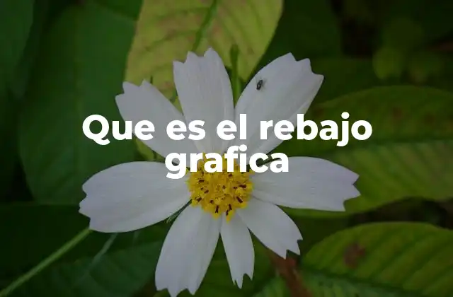 Que es el Rebajo Grafica