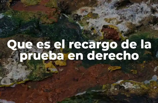 Que es el Recargo de la Prueba en Derecho 2 La importancia del recargo de la prueba en el sistema legal