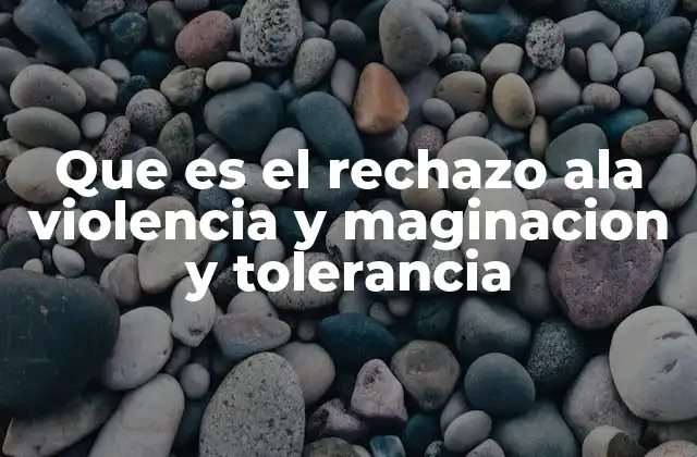 Que es el Rechazo Ala Violencia y Maginacion y Tolerancia