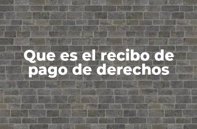 Que es el Recibo de Pago de Derechos
