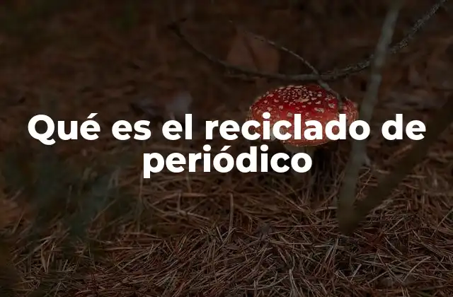 Qué es el Reciclado de Periódico