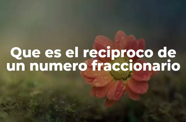 Que es el Reciproco de un Numero Fraccionario