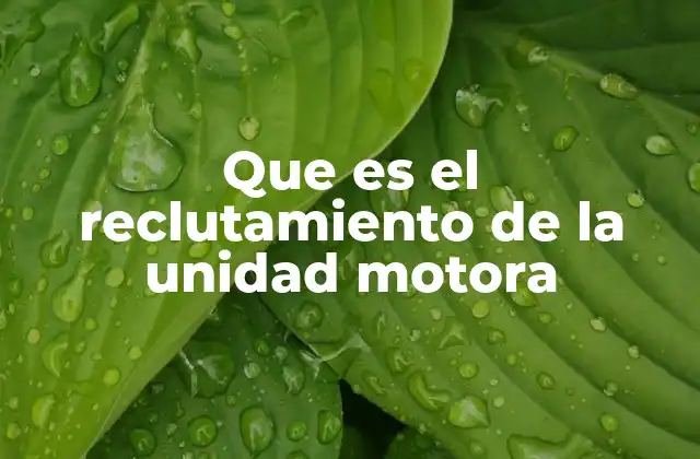 Que es el Reclutamiento de la Unidad Motora