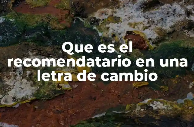 Que es el Recomendatario en una Letra de Cambio