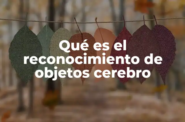 Qué es el Reconocimiento de Objetos Cerebro
