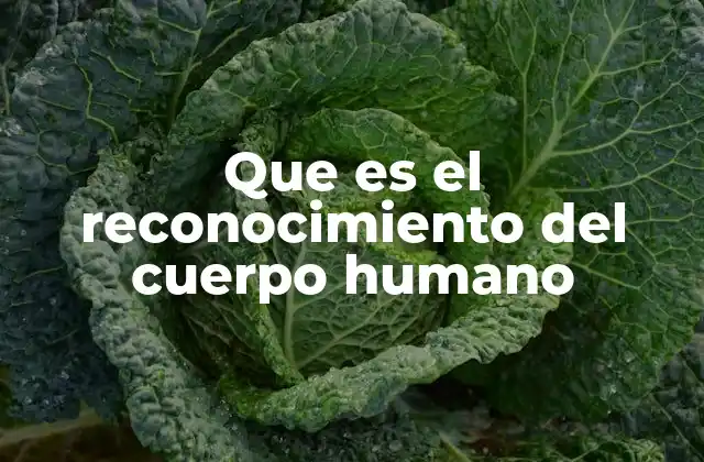 Que es el Reconocimiento Del Cuerpo Humano