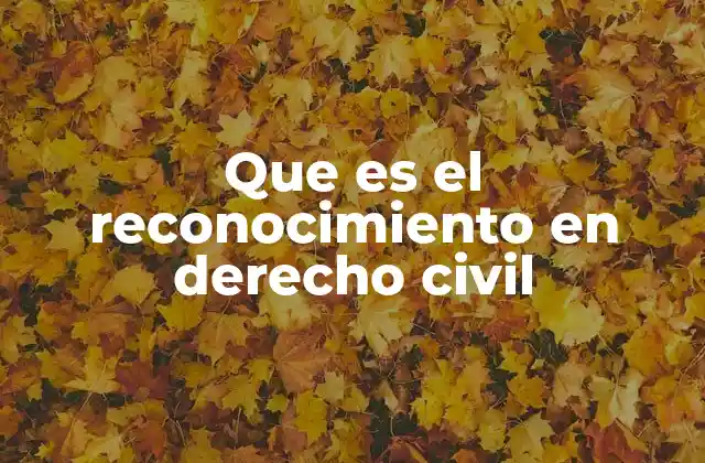 Que es el Reconocimiento en Derecho Civil