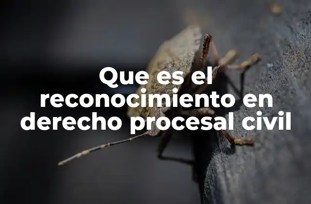 Que es el Reconocimiento en Derecho Procesal Civil