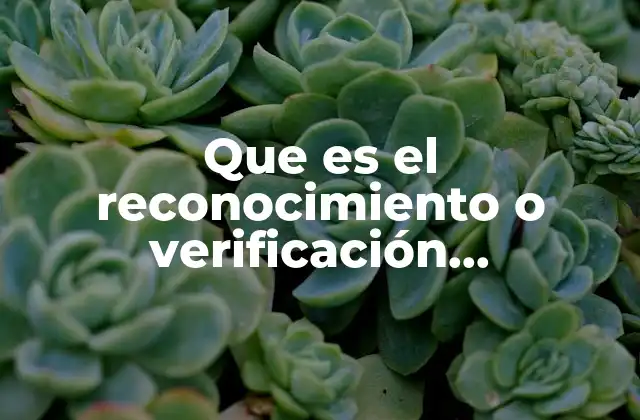 Que es el Reconocimiento o Verificación Administrativa