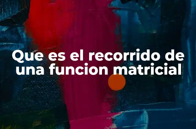 Que es el Recorrido de una Funcion Matricial