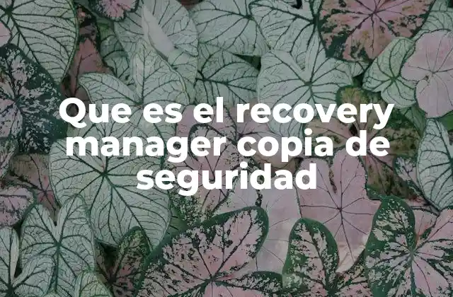 Que es el Recovery Manager Copia de Seguridad