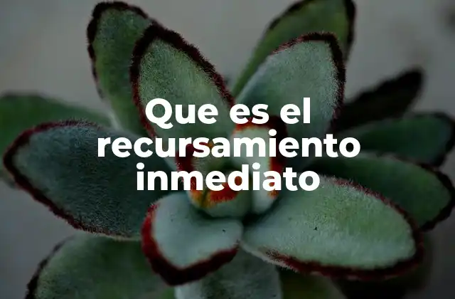 Que es el Recursamiento Inmediato