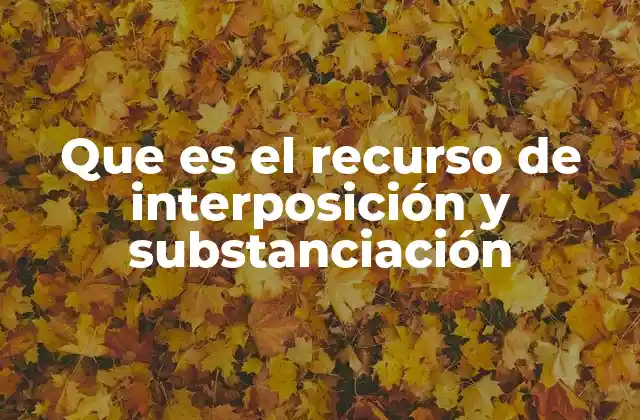 Que es el Recurso de Interposición y Substanciación