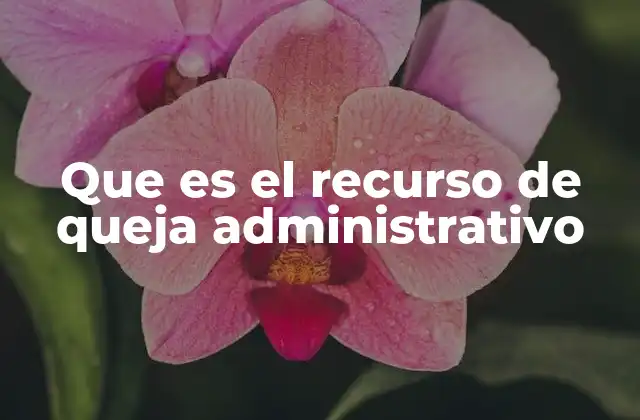 Que es el Recurso de Queja Administrativo