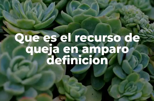 Que es el Recurso de Queja en Amparo Definicion