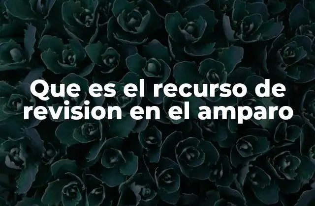 El papel del recurso de revisión en la justicia mexicana