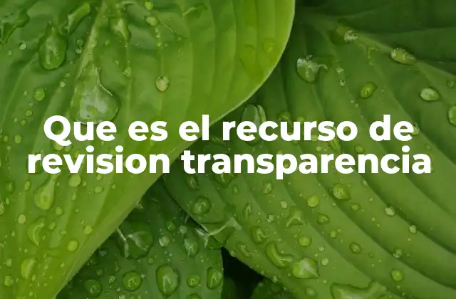 Que es el Recurso de Revision Transparencia