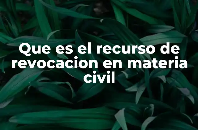 Que es el Recurso de Revocacion en Materia Civil