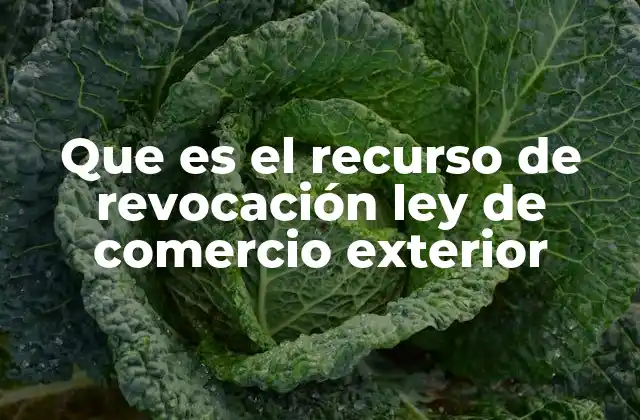 Que es el Recurso de Revocación Ley de Comercio Exterior