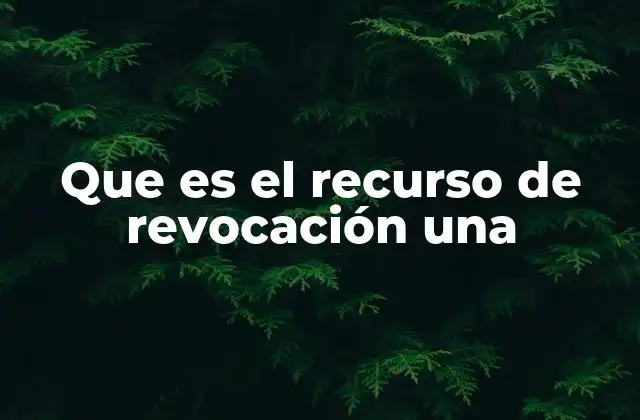 Que es el Recurso de Revocación una