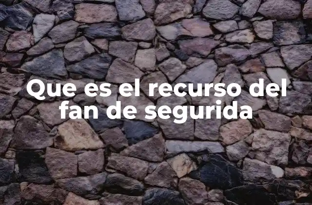 Que es el Recurso Del Fan de Segurida