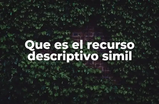 Que es el Recurso Descriptivo Simil
