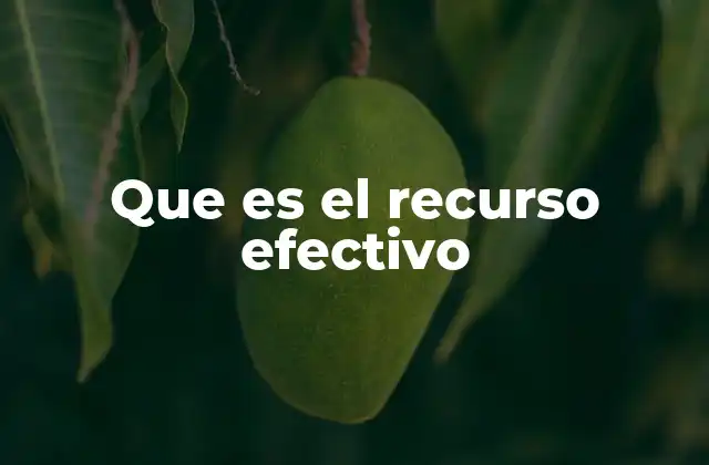 Que es el Recurso Efectivo 2 La importancia de los recursos efectivos en la gestión moderna