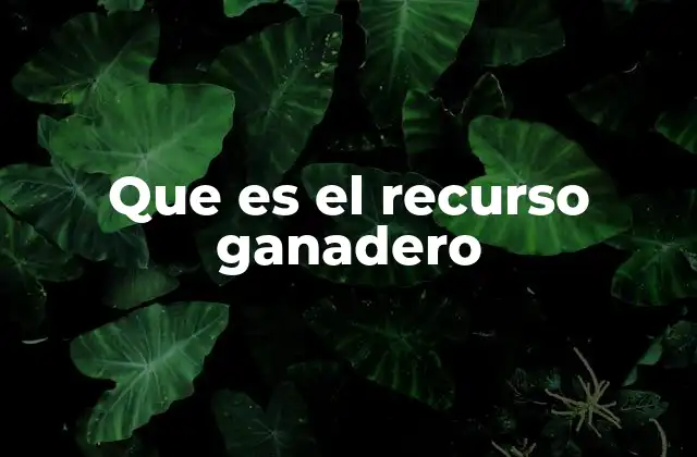 La importancia del recurso ganadero en la economía rural