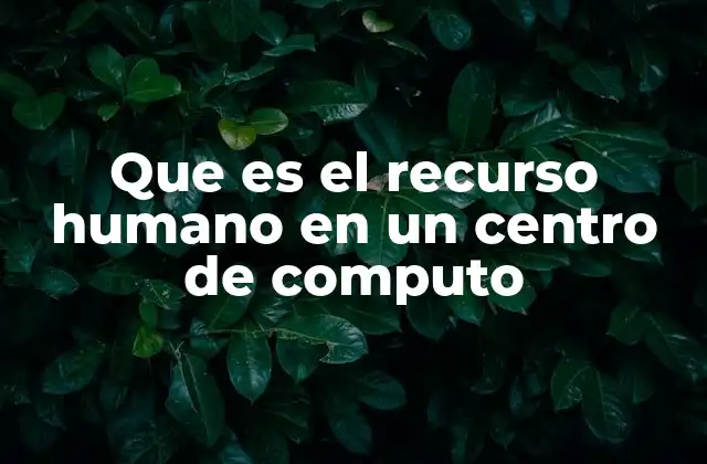 Que es el Recurso Humano en un Centro de Computo
