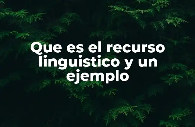 Los elementos que conforman los recursos lingüísticos