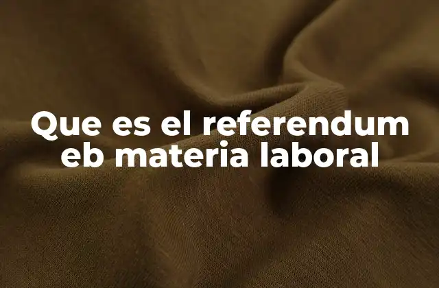 Que es el Referendum Eb Materia Laboral