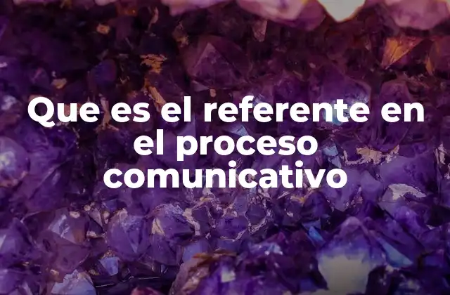 Que es el Referente en el Proceso Comunicativo