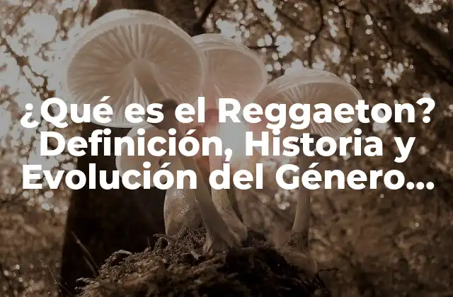 ¿qué es el Reggaeton? Definición, Historia y Evolución Del Género Musical