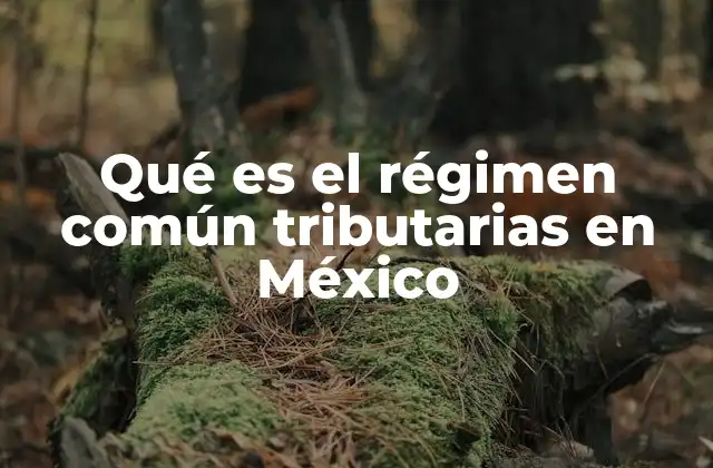 Características del régimen común tributario en México