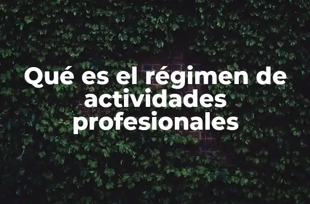 Qué es el Régimen de Actividades Profesionales