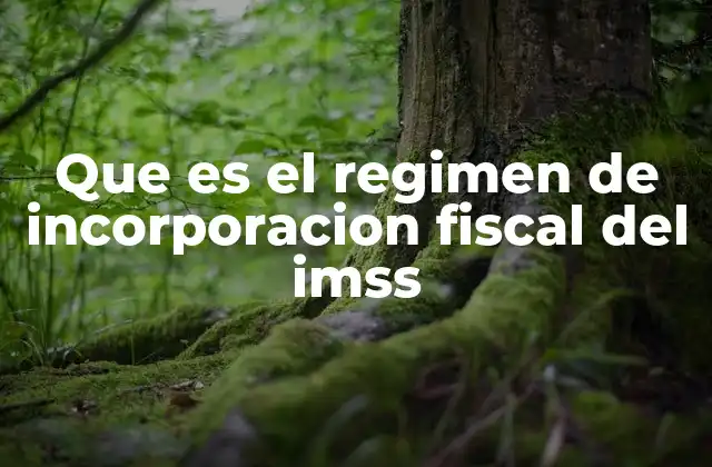 Que es el Regimen de Incorporacion Fiscal Del Imss