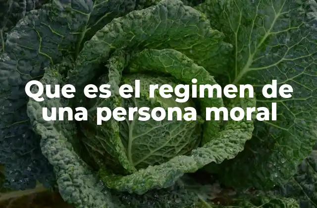Que es el Regimen de una Persona Moral