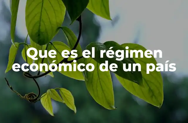Que es el Régimen Económico de un País